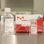HISTOPAQUE-10771 100 ML