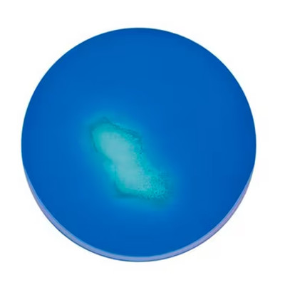 MSRV medium (base) 500 G