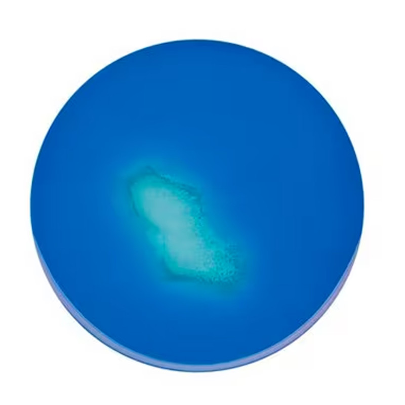 MSRV medium (base) 500 G