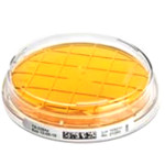 ReadyPlate CT VRBG Agar  ISO 21528