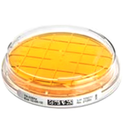 ReadyPlate CT VRBG Agar  ISO 21528