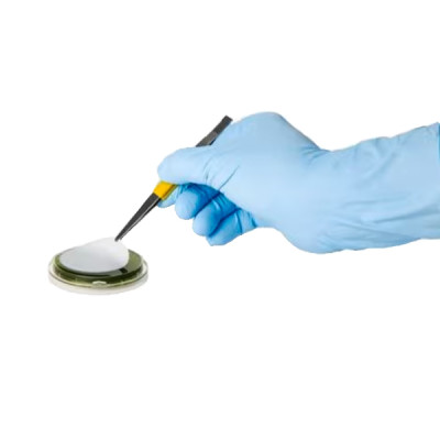 ReadyPlate 55 Plate Count Agar