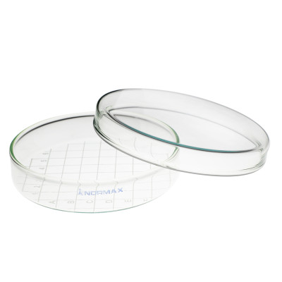 Petri Dish 100 x 20 mm with White Grid