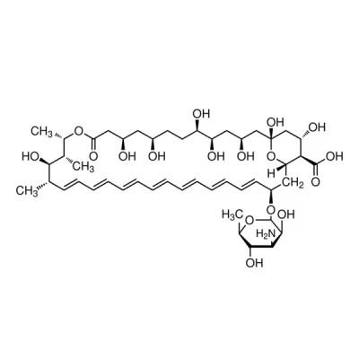 AMPHOTERICIN B SOLUTION 250 μg/ML IN DE& 100 ML