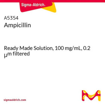 AMPICILLIN READY MADE SOLUTION 10 ML