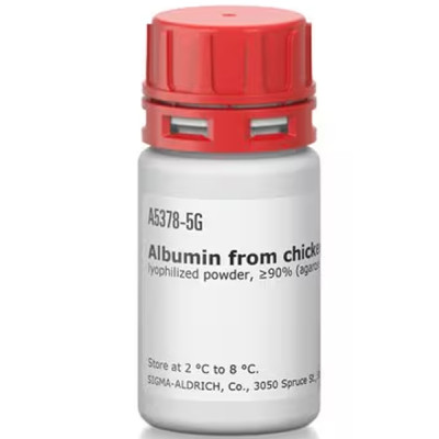 ALBUMIN CHICKEN EGG GRADE III 5 G