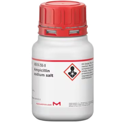 AMPICILLIN SODIUM SALT 25 G
