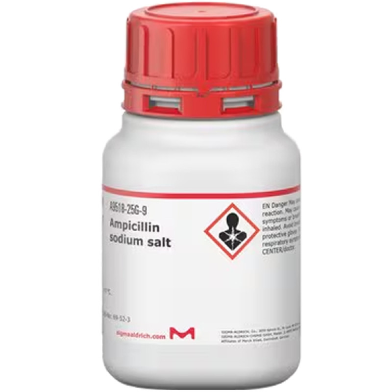 AMPICILLIN SODIUM SALT 25 G