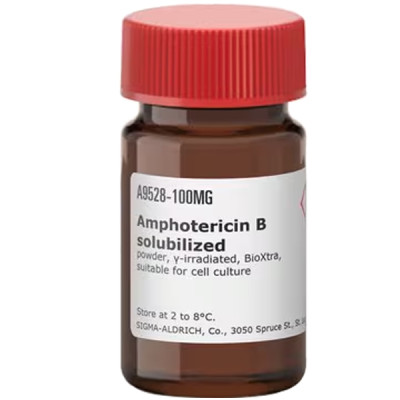 AMPHOTERICIN B-SOLUBILIZED CELL CULTURE 100 MG