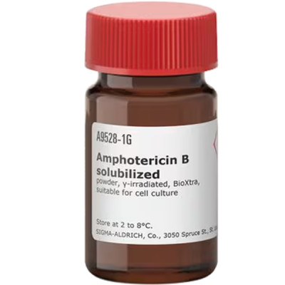 AMPHOTERICIN B-SOLUBILIZED CELL CULTURE 1 G