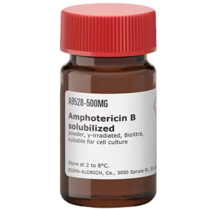 AMPHOTERICIN B-SOLUBILIZED CELL CULTURE 500 MG