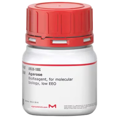 AGAROSE, BIOREAGENT, FOR MOLECULAR BIOL& 100 G