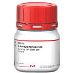 6-BENZYLAMINOPURINE PLANT CELL CULTURE & 25 G