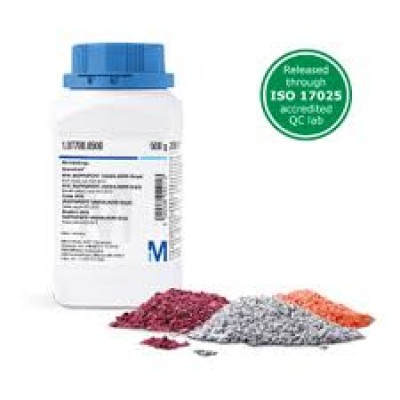 BOLTON broth (base) 500 G