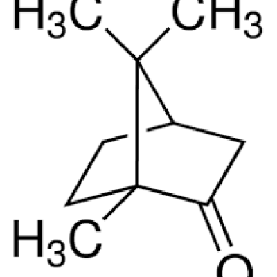CAMPHOR (DL)