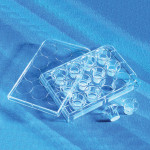 CORNING(R) TRANSWELL(R) POLYCARBONATE M& 48 EA
