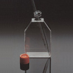 CORNING(R) CELL CULTURE FLASKS SURFACE & 50 EA