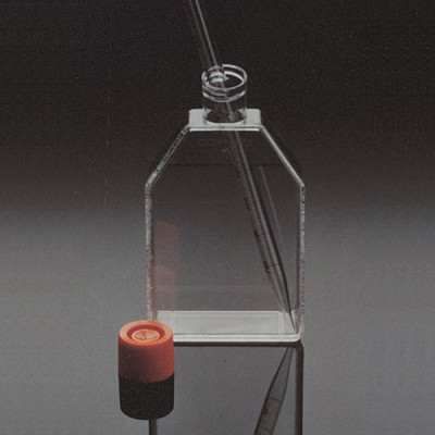 CORNING(R) CELL CULTURE FLASKS SURFACE & 50 EA