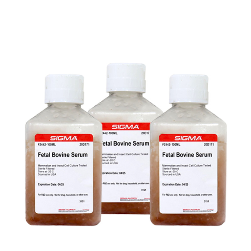 FETAL BOVINE SERUM, USA ORIGIN, STERILE- 100 ML