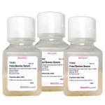 FETAL BOVINE SERUM, USA ORIGIN, STERILE- 50 ML