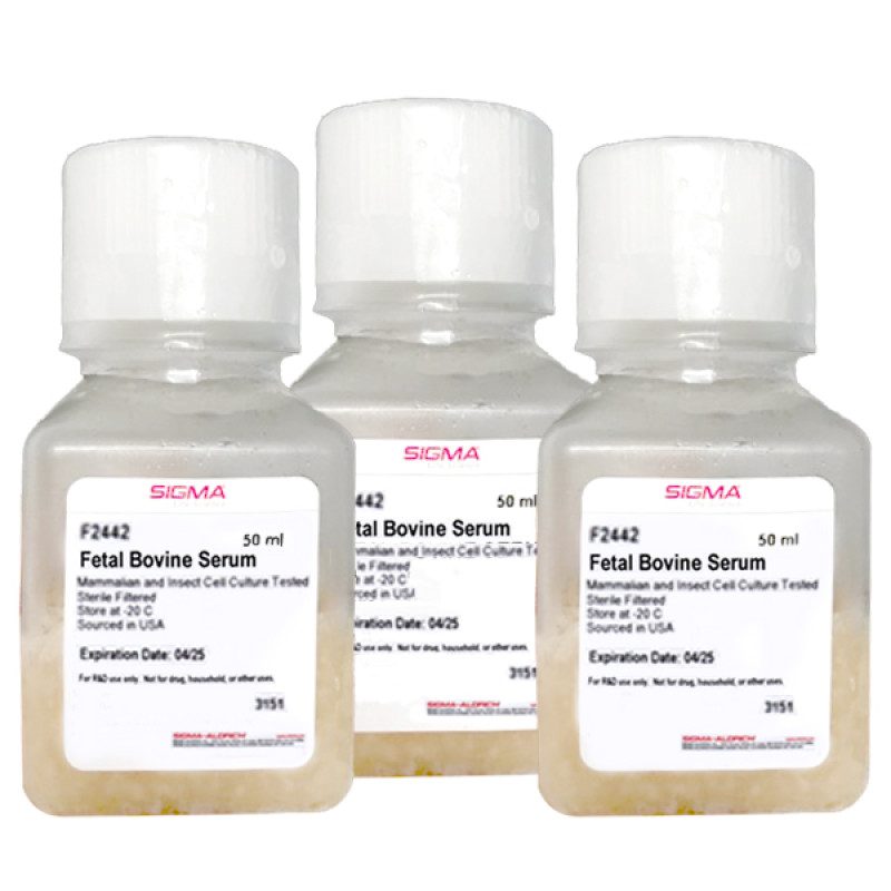 FETAL BOVINE SERUM, USA ORIGIN, STERILE- 50 ML