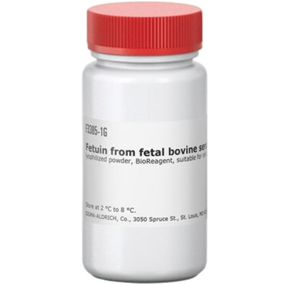 FETUIN FROM FETAL BOVINE SERUM& 1 G
