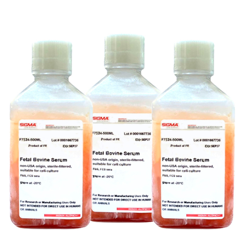 Fetal Bovine Serum 500 ML