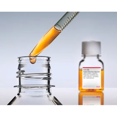 HUMAN SERUM FROM MALE AB PLASMA& 100 ML