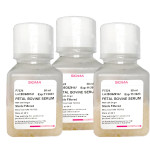 Fetal Bovine Serum 50 ML
