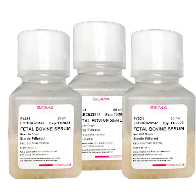 Fetal Bovine Serum 50 ML