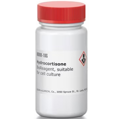 HYDROCORTISONE SUITABLE FOR CELL CULTUR& 10 G