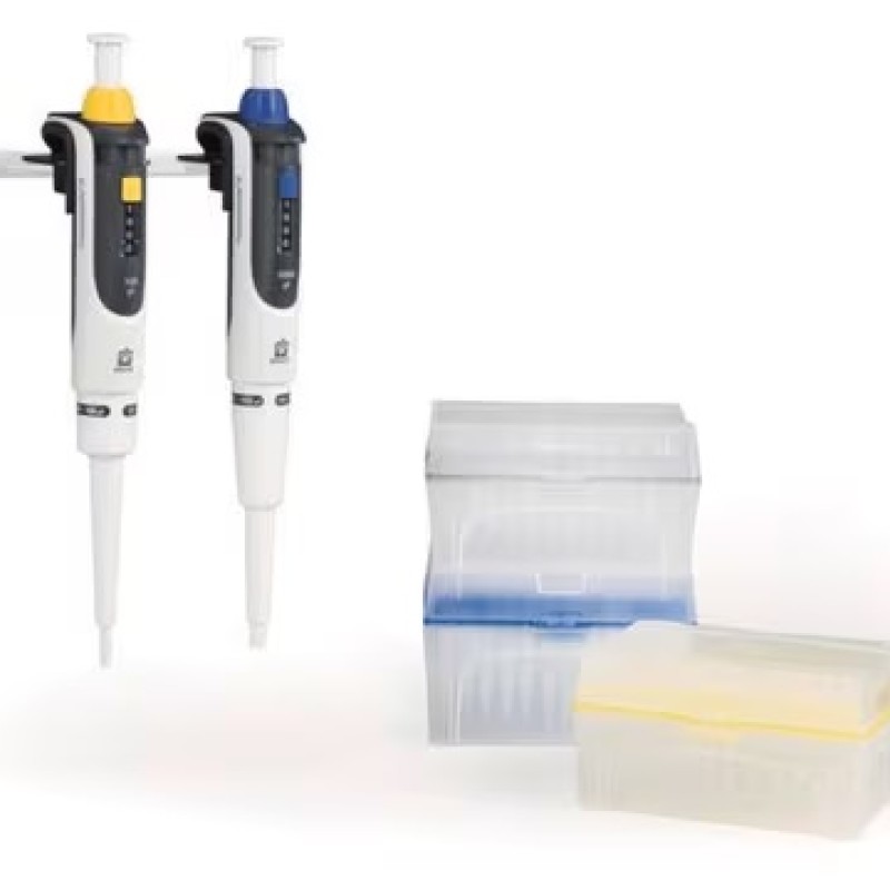BRAND(R) TRANSFERPETTE(R) S PACKAGE, 2:& SIGMA : BR705897