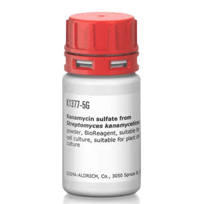 KANAMYCIN SULFATE FROM FROM STREPTOMYCE& 5 G