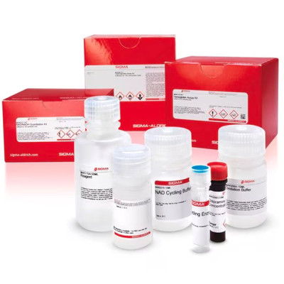 LACTATE DEHYDROGENASE ACTIVITY ASSAY KIT