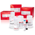 GLUCOSE DEHYDROGENASE ASSAY KIT 1 KIT