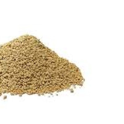 mCCD agar (base) 500 G
