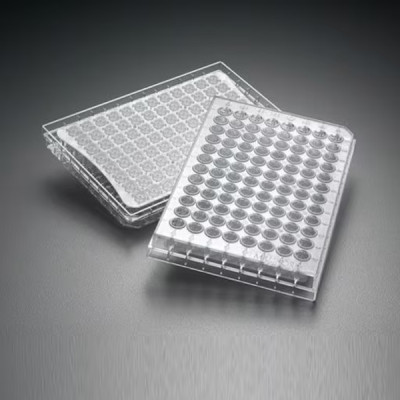 Mscrn HTS IP PVDF .45um Clear Ster 10/pk