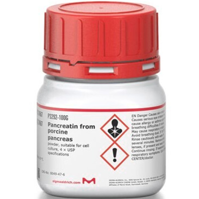 PANCREATIN FROM PORCINE PANCREAS CELL CU 100 G