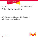 POLY-L-LYSINE SOLUTION, 0.01%, STERILE-& 50 ML