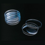 PETRI DISHES, POLYSTYRENE, SIZE 100 MM & 400 EA
