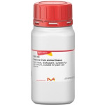 PEPTONE FROM ANIMAL TISSUE, FROM MEAT& 100 G