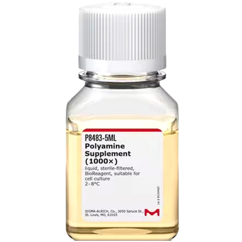POLYAMINE SUPPLEMENT (1000X) 5 ML