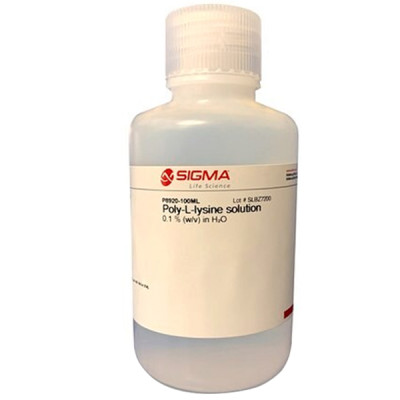 POLY-L-LYSINE SOLUTION 100 ML