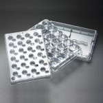Single-well Feeder Tray with Lid on bot&
