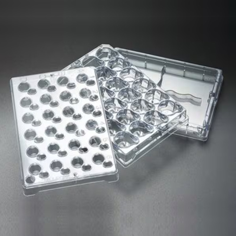 Single-well Feeder Tray with Lid on bot&