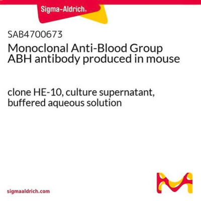 MONOCLONAL ANTI-BLOOD GROUP ABH 1 ML