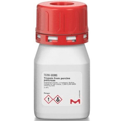 TRYPSIN FROM FROM PORCINE PANCREAS BIOX& 500 MG