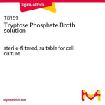 TRYPTOSE PHOSPHATE BROTH SOLUTION 100 ML