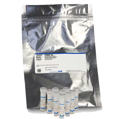 ESCHERICHIA COLI  WDCM 00090 VITROIDS 50 10 EA